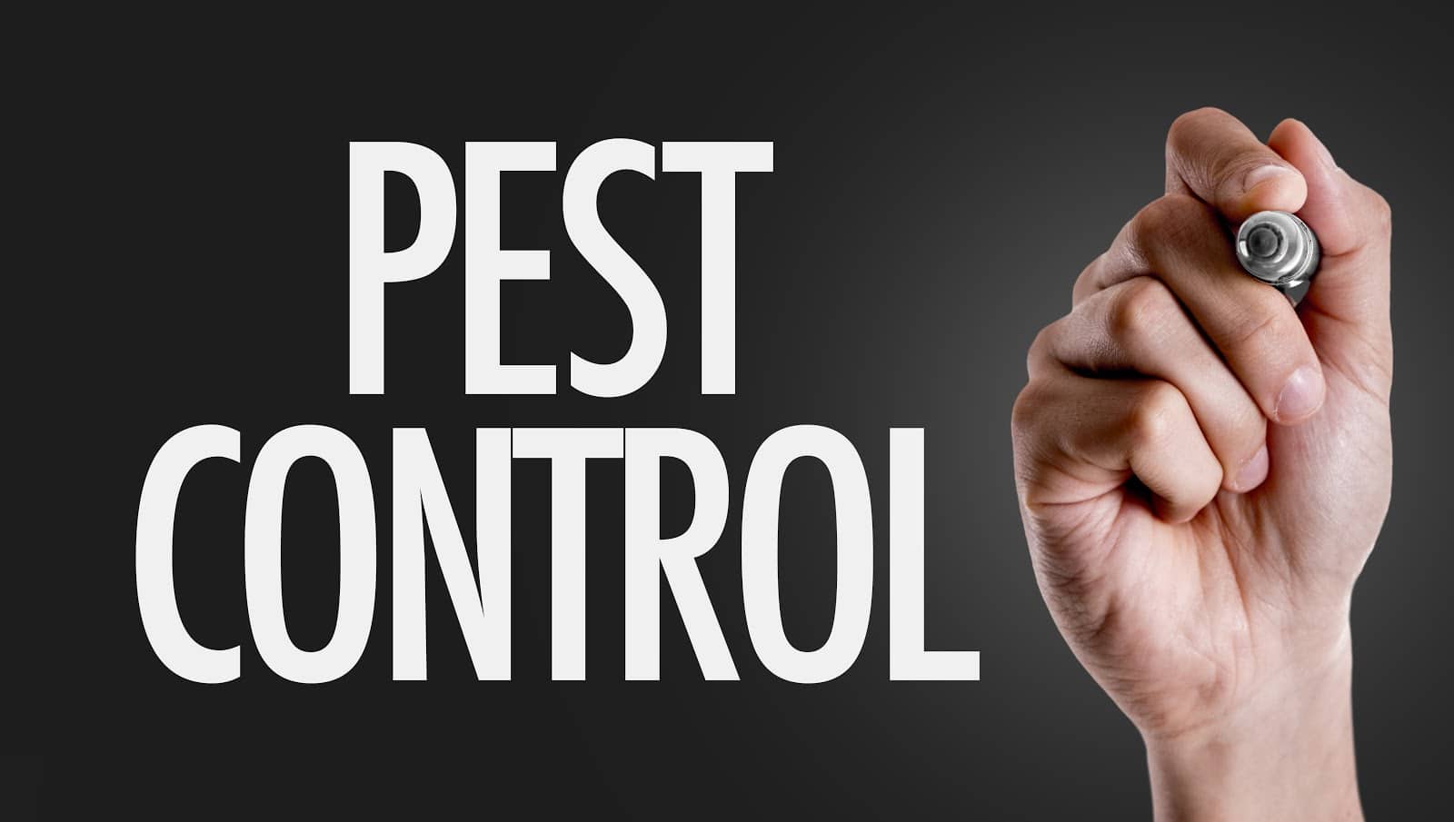 Pest control marketing