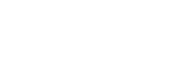 GooglePartnerLogo