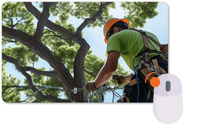 Tree Service PPC