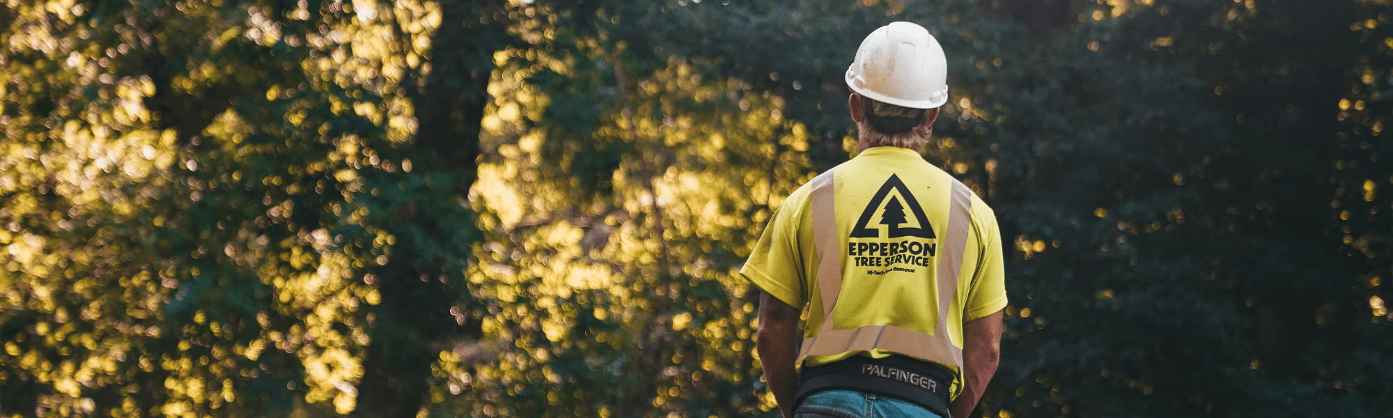 A man in a yellow shirt and hat stands on a trail, surrounded by greenery, promoting environmental awareness using environmental services specifc content.